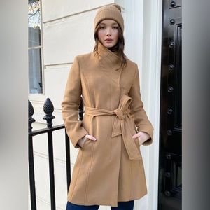Aritzia babaton Connor wool coat